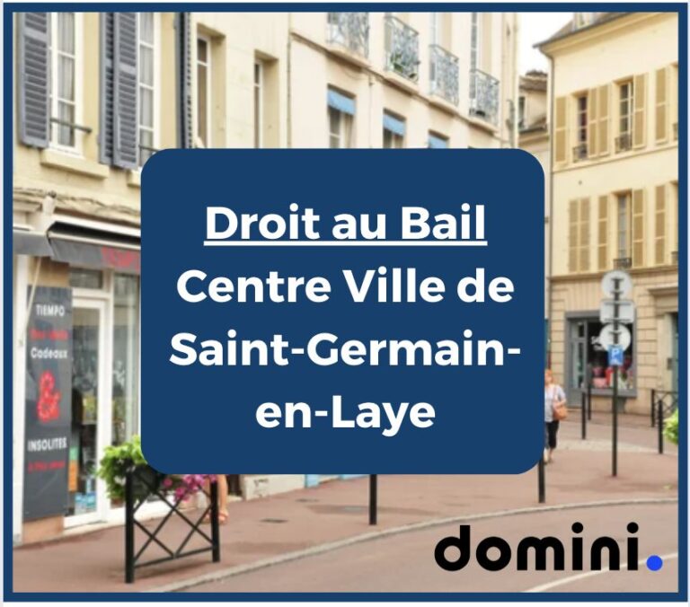 Commerce en centre ville